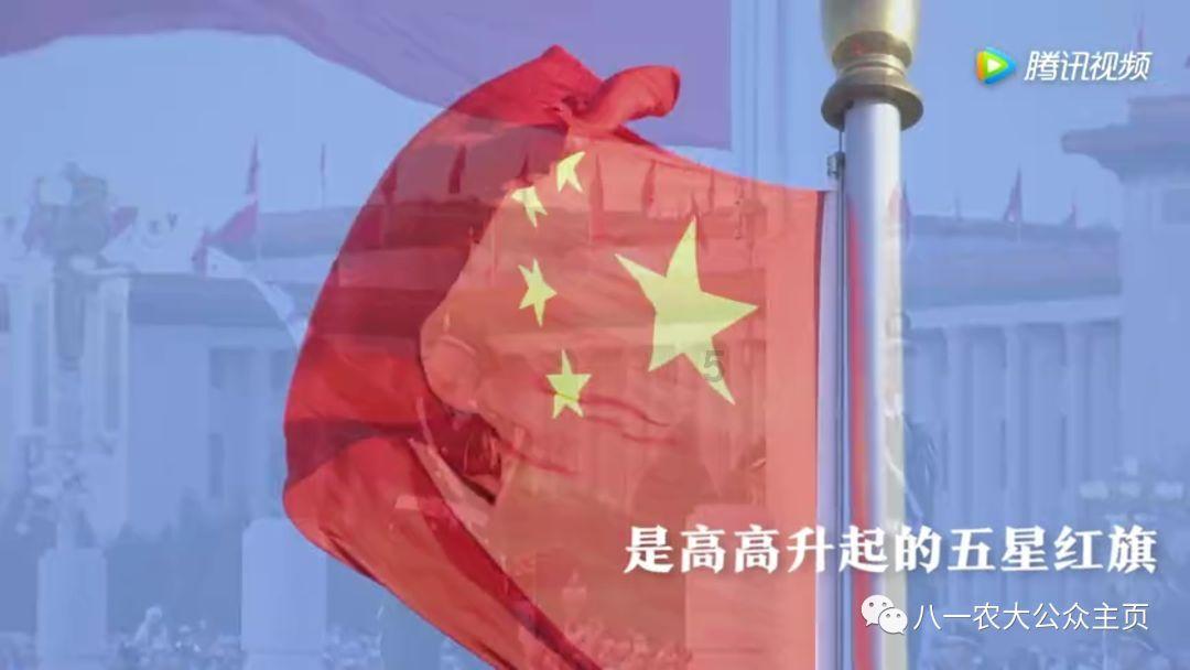 逗小猴开心系列195